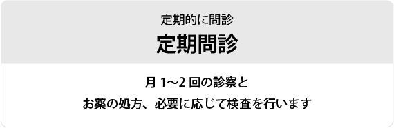 定期問診：月1〜2回の診察とお薬の処方、必要に応じて検査を行います